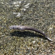 95cea8ca-a492-4023-bef5-111d5008e91c